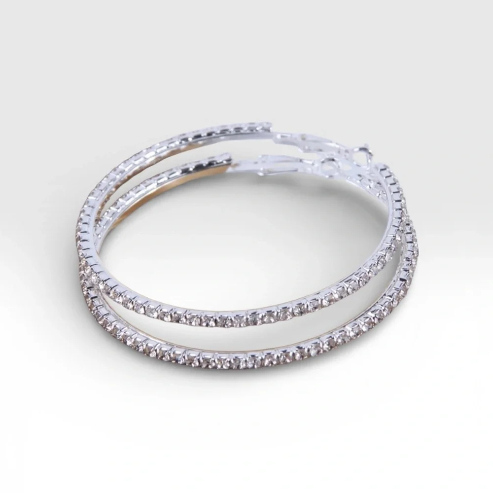 Elegant Silver Hoop Earrings